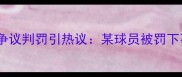 法国裁判争议判罚引热议某球员被罚下事件深度