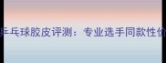 德国阳光乒乓球胶皮评测专业选手同款性价比之王
