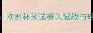 德国国家队赛事全欧洲杯预选赛关键战与球迷聚焦的三大看点