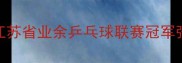 江苏乒乓球新霸主诞生江苏省业余乒乓球联赛冠军张伟的逆袭之路与训练秘籍