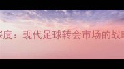 球队选项与球员选项深度现代足球转会市场的战略博弈与价值管理指南