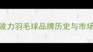 1波力羽毛球品牌历史与市场地位