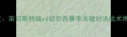英超焦点战深度莱切斯特城vs切尔西赛季关键对决战术博弈与争冠悬念
