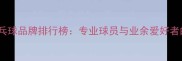 中国十大乒乓球品牌排行榜专业球员与业余爱好者的选购指南