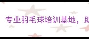 芜湖飞宇羽毛球俱乐部专业羽毛球培训基地助力每一位球友提升球技