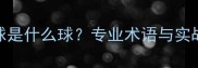 羽毛球4号球是什么球专业术语与实战应用指南