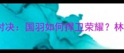 羽毛球世锦赛爆燃终极对决国羽如何捍卫荣耀林丹苏迪曼杯战火重燃