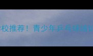 丁松乒乓球俱乐部专业培训学校推荐青少年乒乓球培训成人课程赛事指导全攻略