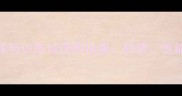 网球比赛球与训练球选购指南材质性能与价格全