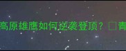 永昌赛季高能回顾高原雄鹰如何逆袭登顶青海足球永昌足球队赛季