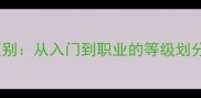 乒乓球几星的区别从入门到职业的等级划分与星标制度全