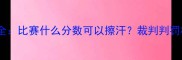 羽毛球擦汗规则全比赛什么分数可以擦汗裁判判罚标准及应对技巧