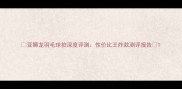 亚狮龙羽毛球拍深度评测性价比王炸款测评报告
