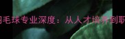 首都体育大学羽毛球专业深度从人才培养到职业发展全指南