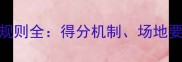 巴黎奥运会羽毛球单打规则全得分机制场地要求与判罚标准深度解读