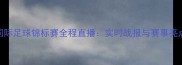 国际足球锦标赛全程直播实时战报与赛事亮点