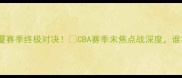 哈德森VS广厦赛季终极对决CBA赛季末焦点战深度谁将问鼎冠军