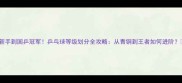 新手到国乒冠军乒乓球等级划分全攻略从青铜到王者如何进阶
