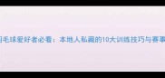 中山羽毛球爱好者必看本地人私藏的10大训练技巧与赛事指南