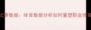 球员自购比赛数据体育数据分析如何重塑职业体育竞技格局