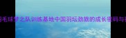 青岛羽毛球梦之队训练基地中国羽坛劲旅的成长密码与赛事全