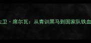 西班牙19号球员大卫席尔瓦从青训黑马到国家队铁血核心的20年传奇