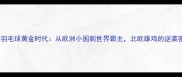 丹麦羽毛球黄金时代从欧洲小国到世界霸主北欧雄鸡的逆袭密码
