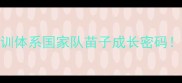 安徽体工队羽毛球青训体系国家队苗子成长密码青训升学职业规划全