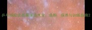 乒乓球胶皮弧圈球技术全选购保养与训练指南