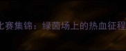 河南建业赛季高清比赛集锦绿茵场上的热血征程与经典瞬间全记录