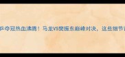 男单乒乓球世乒赛国乒夺冠热血沸腾马龙VS樊振东巅峰对决这些细节让你秒变乒乓迷