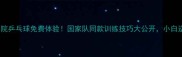 中央体院乒乓球免费体验国家队同款训练技巧大公开小白逆袭指南