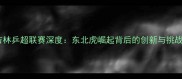 吉林乒超联赛深度东北虎崛起背后的创新与挑战