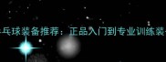 10款爆款乒乓球装备推荐正品入门到专业训练装备避坑指南