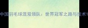 中国羽毛球混双领队世界冠军之路与技术