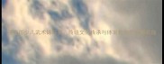 度全国少儿武术锦标赛传统文化传承与体育教育的创新实践