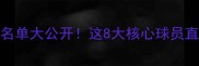 曼联15赛季终极名单大公开这8大核心球员直接改写英超历史