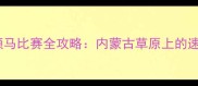 那达慕大会颠马比赛全攻略内蒙古草原上的速度与激情