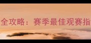 深圳足球观赛全攻略赛季最佳观赛指南与赛事信息