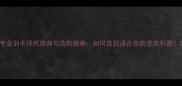 专业羽毛球托推荐与选购指南如何选到适合你的进攻利器