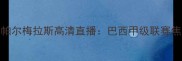 克罗塞罗vs帕尔梅拉斯高清直播巴西甲级联赛焦点战全攻略