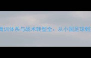热刺队冰岛球员青训体系与战术转型全从小国足球到英超劲旅的启示