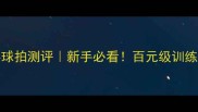 红双喜3006乒乓球拍测评新手必看百元级训练王炸到底值不值