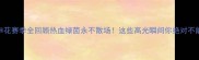 上海申花赛季全回顾热血绿茵永不散场这些高光瞬间你绝对不能错过