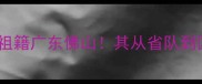 羽毛球国手邸子健祖籍广东佛山其从省队到国际赛场的逆袭之路
