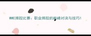 WWE摔跤比赛职业摔跤的巅峰对决与技巧