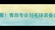 青岛羽毛球爱好者必看青岛专业羽毛球装备选购指南与品牌推荐