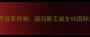 羽毛球世界冠军预测国羽新王诞生VS国际选手崛起