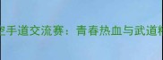 全国高校空手道交流赛青春热血与武道精神的碰撞