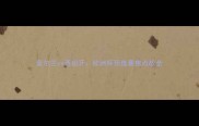 爱尔兰vs西班牙欧洲杯预选赛焦点战全